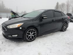 Ford Focus SE salvage cars for sale: 2015 Ford Focus SE