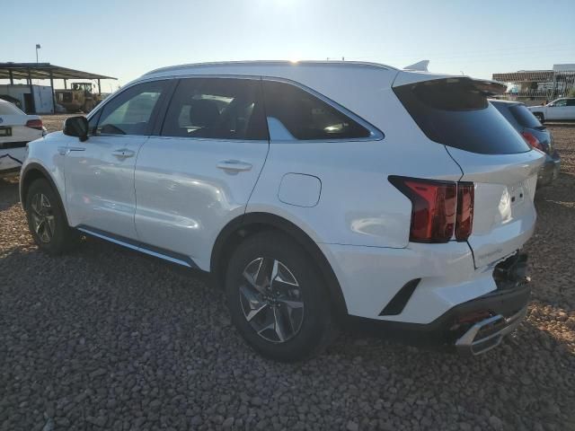 2023 KIA Sorento EX