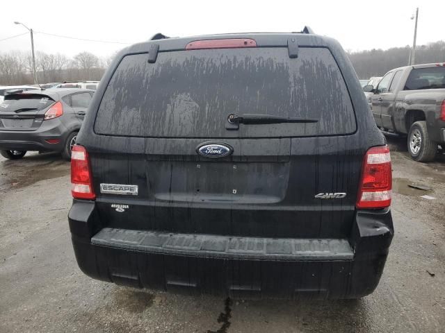 2008 Ford Escape XLT