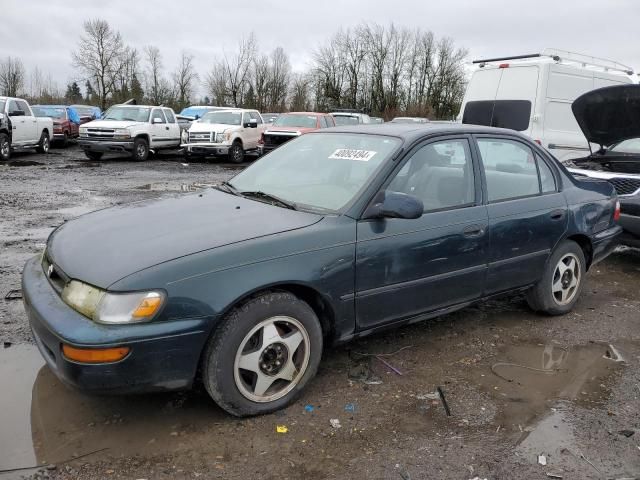 1997 Toyota Corolla Base