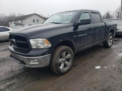 Salvage cars for sale at York Haven, PA auction: 2012 Dodge RAM 1500 SLT