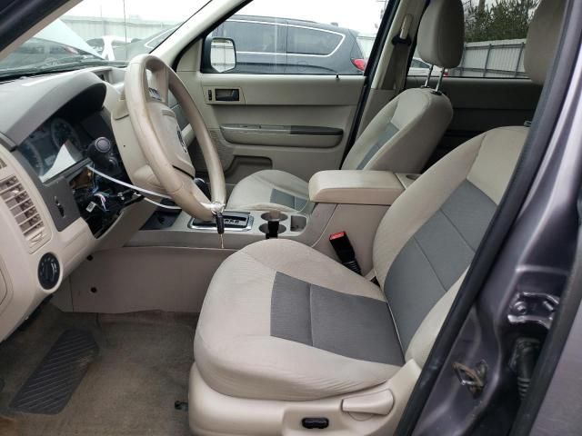 2008 Ford Escape XLT