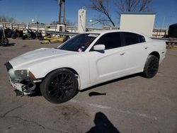 Salvage cars for sale from Copart Anthony, TX: 2013 Dodge Charger SE