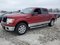 Salvage cars for sale at Wayland, MI auction: 2013 Ford F150 Supercrew