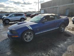 Ford Mustang salvage cars for sale: 2005 Ford Mustang