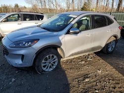 Salvage cars for sale at Candia, NH auction: 2020 Ford Escape SE