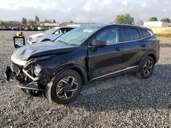 Salvage cars for sale at Mentone, CA auction: 2023 KIA Sportage LX