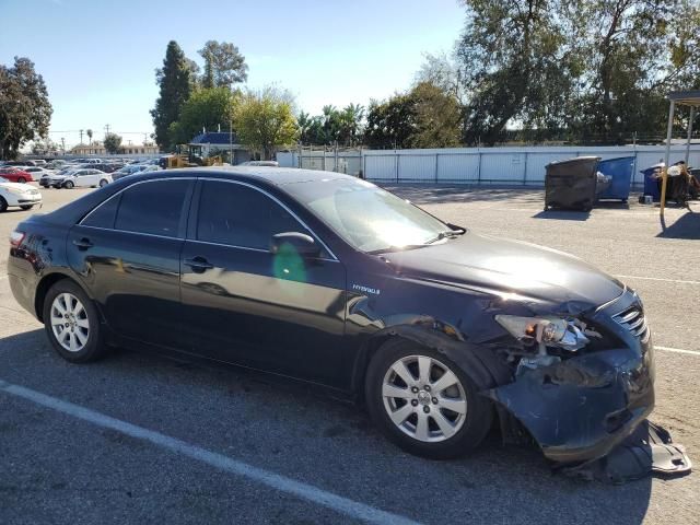 2009 Toyota Camry Hybrid