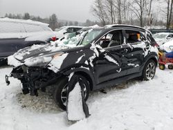 Salvage cars for sale at Candia, NH auction: 2021 KIA Sportage EX