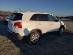 2011 KIA Sorento EX