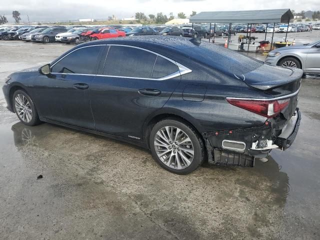 2021 Lexus ES 300H