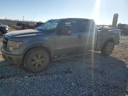 Ford salvage cars for sale: 2013 Ford F150 Supercrew