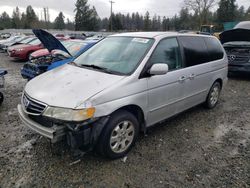 2002 Honda Odyssey EXL en venta en Graham, WA