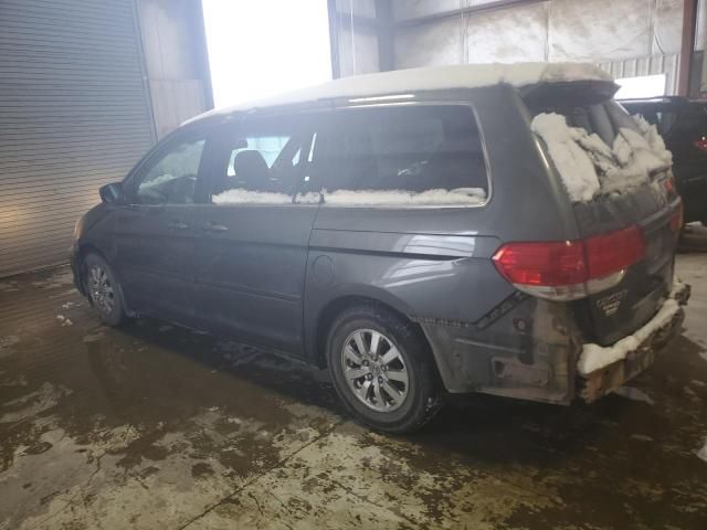 2008 Honda Odyssey EXL