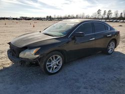 Salvage cars for sale at Houston, TX auction: 2009 Nissan Maxima S