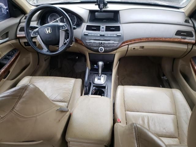 2010 Honda Accord EXL