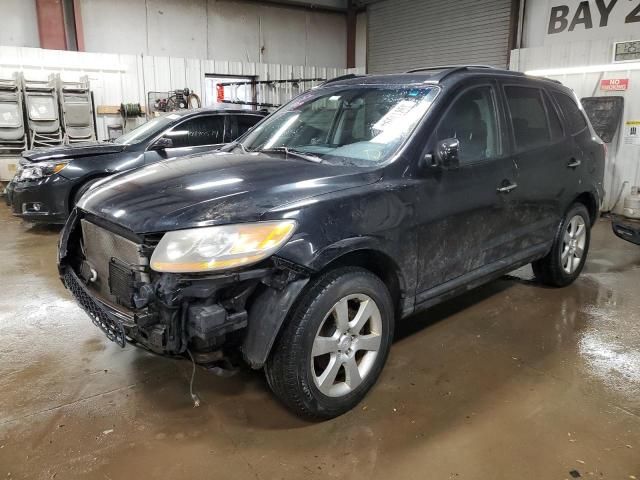 2009 Hyundai Santa FE SE