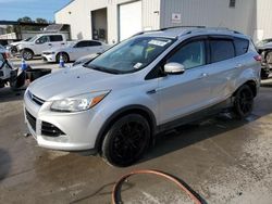 Salvage cars for sale from Copart New Orleans, LA: 2016 Ford Escape Titanium