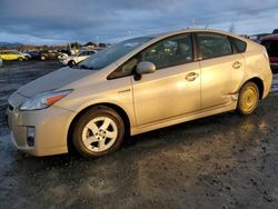 Salvage cars for sale at Eugene, OR auction: 2010 Toyota Prius