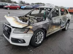 Salvage cars for sale at Ham Lake, MN auction: 2014 Audi Q5 Premium Plus