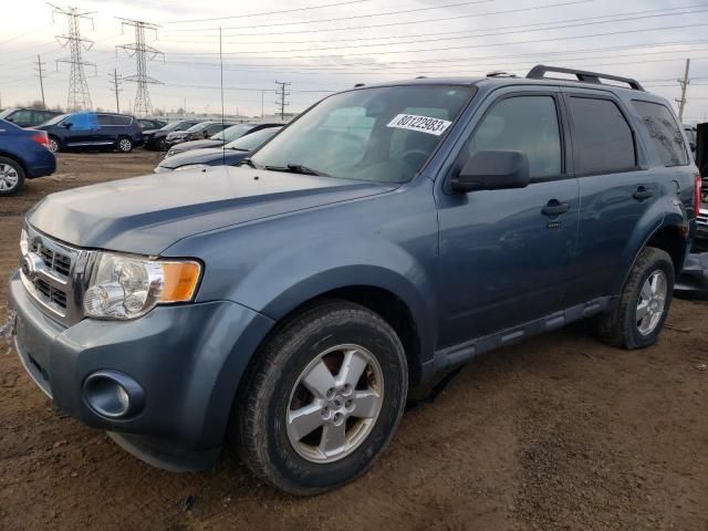 2010 Ford Escape XLT