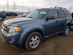 Ford Escape XLT salvage cars for sale: 2010 Ford Escape XLT