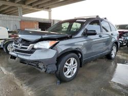 Honda salvage cars for sale: 2010 Honda CR-V EX