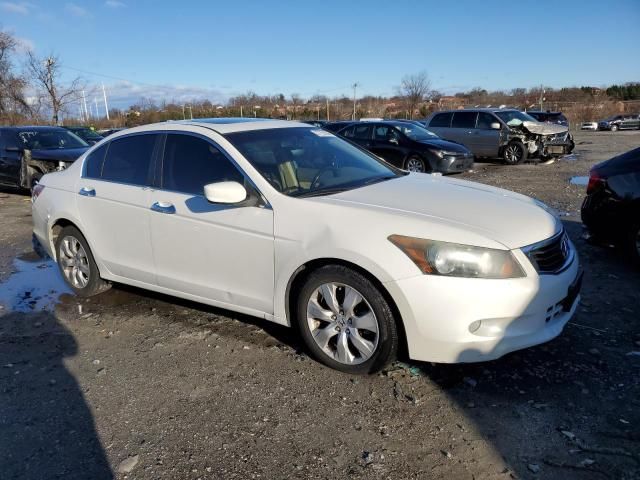 2010 Honda Accord EXL