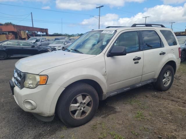 2009 Ford Escape XLT