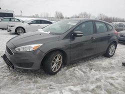 Ford Focus SE salvage cars for sale: 2017 Ford Focus SE