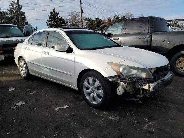 2008 Honda Accord EXL