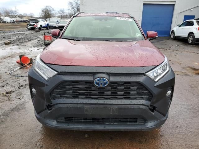 2019 Toyota Rav4 XLE