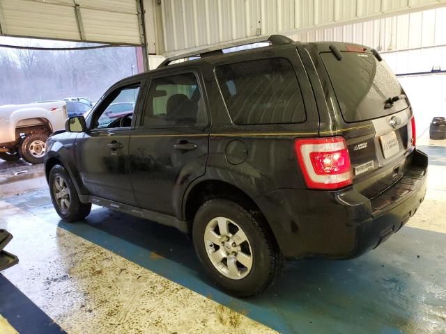 2011 Ford Escape Limited