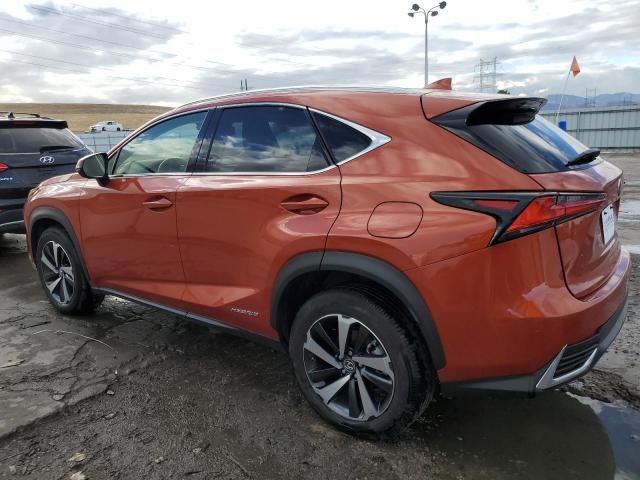 2021 Lexus NX 300H Base