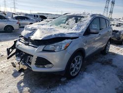 2014 Ford Escape Titanium for sale in Elgin, IL