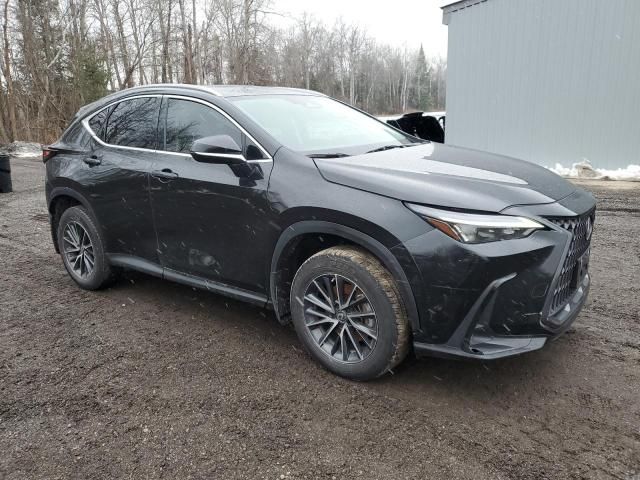 2023 Lexus NX 250