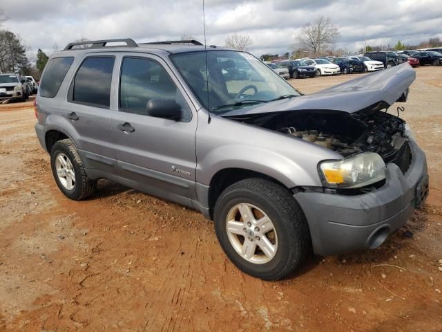 2007 Ford Escape HEV