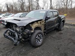 Salvage cars for sale at Marlboro, NY auction: 2020 Toyota Tacoma Double Cab