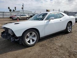 Salvage cars for sale from Copart Mercedes, TX: 2019 Dodge Challenger SXT