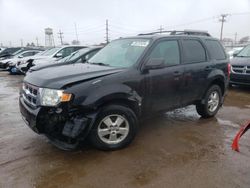 Ford Escape XLT salvage cars for sale: 2010 Ford Escape XLT