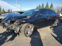 Salvage cars for sale from Copart Rancho Cucamonga, CA: 2010 Toyota Camry Base