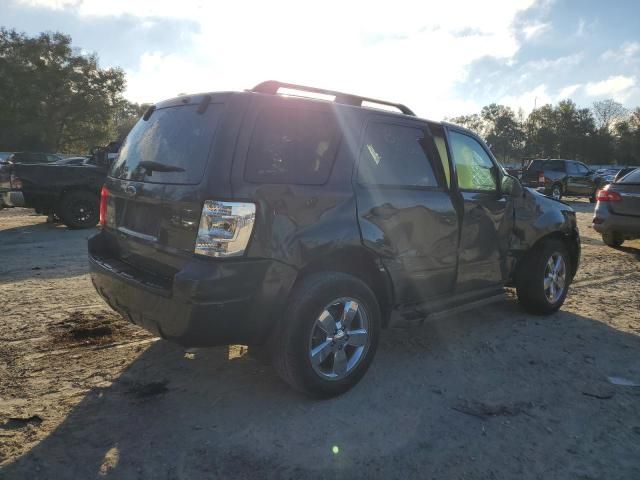 2009 Ford Escape XLT