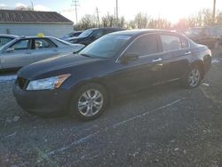 Salvage cars for sale at Columbus, OH auction: 2010 Honda Accord LXP