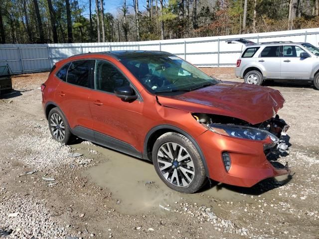 2020 Ford Escape SE Sport