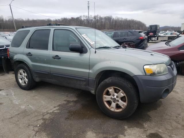 2006 Ford Escape XLT