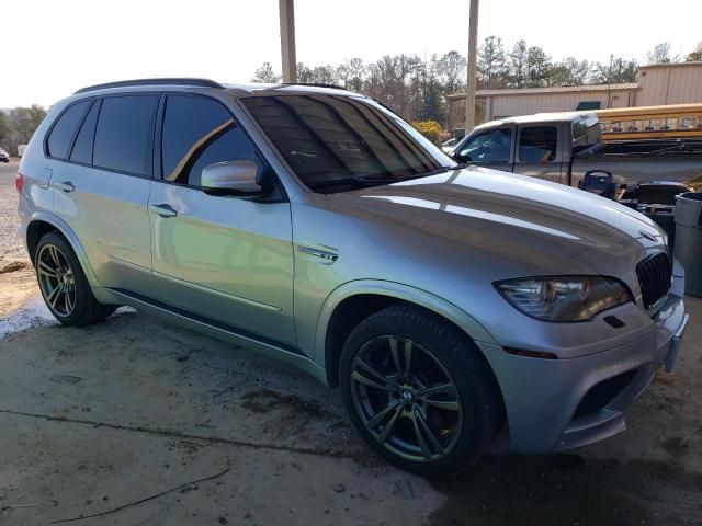 2010 BMW X5 M