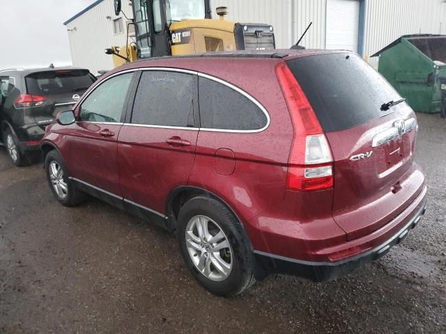 2010 Honda CR-V EXL