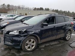 Ford Escape SE salvage cars for sale: 2016 Ford Escape SE