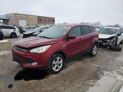 Ford Escape SE salvage cars for sale: 2014 Ford Escape SE