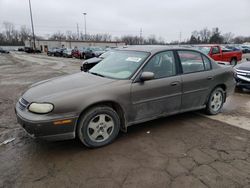 Chevrolet Malibu ls salvage cars for sale: 2002 Chevrolet Malibu LS